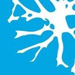 Brainspace Discovery logo